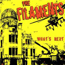 The Filaments : Whats Next?